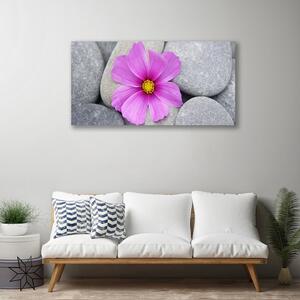 Obraz Canvas Kwiat Spa Roślina