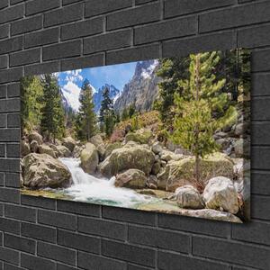Obraz Canvas Góra Las Kamienie Rzeka