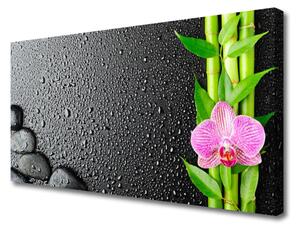 Obraz Canvas Bambus Łodyga Kwiat Roślina