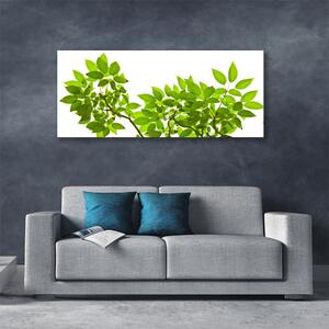 Obraz Canvas Gałąź Liście Roślina Natura
