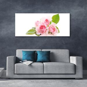 Obraz Canvas Róże Kwiaty Roślina Natura