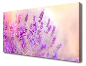 Obraz Canvas Lawendowe Pole Słońce Kwiaty
