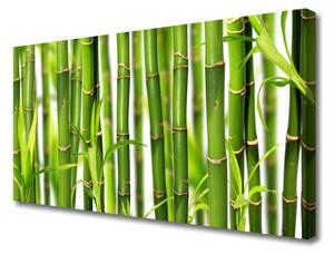 Obraz Canvas Bambusowe Pędy Liście Bambus
