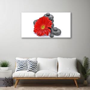 Obraz Canvas Kwiaty Czerwona Gerbera
