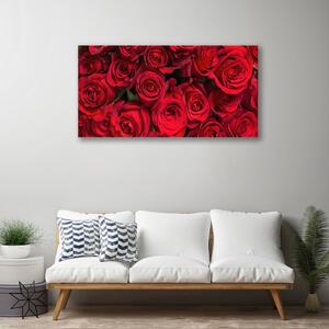 Obraz Canvas Czerwone Róże Kwiaty Natura