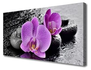 Obraz Canvas Storczyk Kwiaty Orchidea Spa