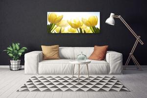 Obraz Canvas Tulipany Kwiaty Promienie