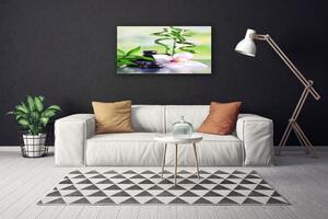 Obraz Canvas Storczyk Bambus Zen Spa