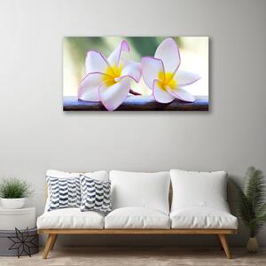 Obraz Canvas Kwiaty Płatki Plumeria