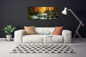 Obraz Canvas Wodospad Natura Las Jesień