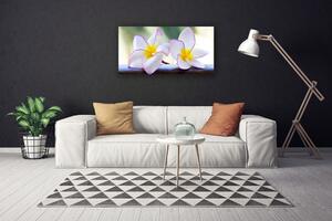 Obraz Canvas Kwiaty Płatki Plumeria