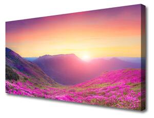 Obraz Canvas Słońce Góry Łąka Natura