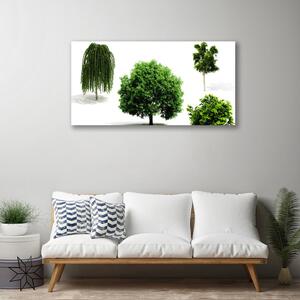 Obraz Canvas Drzewa Natura Przyroda