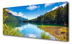Obraz Canvas Góry Las Natura Jezioro
