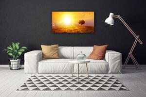 Obraz Canvas Zachód Słońca Łąka Ptaki