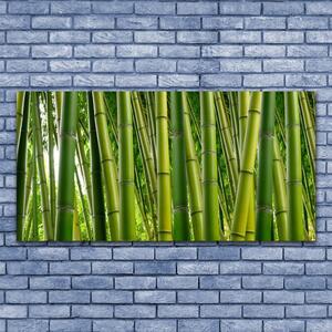 Obraz Szklany Bambusowy Las Pędy Bambusa