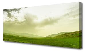 Obraz Canvas Łąka Natura Zielony Widok