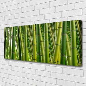 Obraz Canvas Bambusowy Las Pędy Bambusa