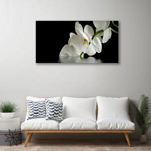 Obraz Canvas Orchidea w Wodzie Kwiaty