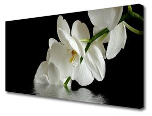 Obraz Canvas Orchidea w Wodzie Kwiaty
