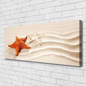 Obraz Canvas Rozgwiazda na Piasku Plaża
