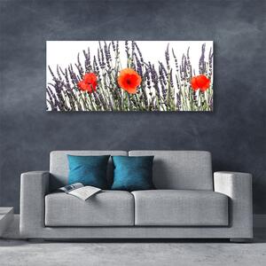 Obraz Canvas Kwiaty Maki Pole Trawy