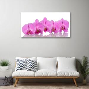 Obraz Canvas Różowa Orchidea Kwiaty