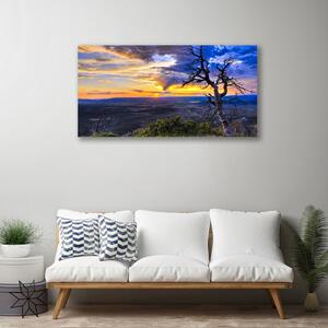 Obraz Canvas Drzewo Zachód Słońca