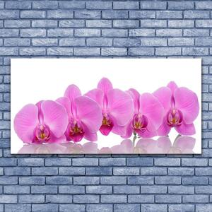 Obraz Szklany Różowa Orchidea Kwiaty