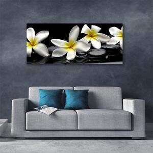 Obraz Canvas Piękny Kwiat Plumeria