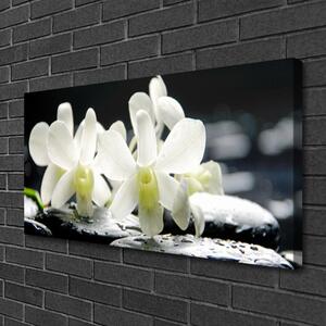 Obraz Canvas Kamienie Kwiaty Orchidea
