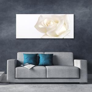 Obraz Canvas Róża Kwiaty