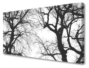 Obraz Canvas Drzewa Natura Czarno-Biały