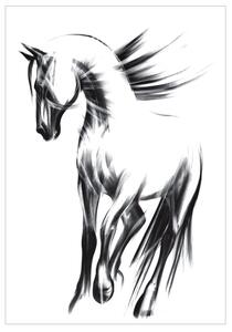 PEGAZ, SERIA WIEDEŃ - Delikatny, minimalistyczny czarno-biały obraz konia