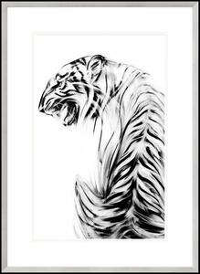 Obraz Tygrys, Seria Dzika Natura