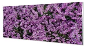 Obraz na szkle Fioletowe kwiaty