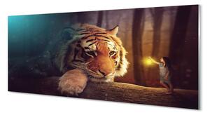 Obraz na szkle Tygrys las człowiek