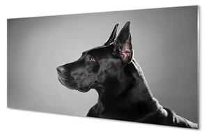 Obraz na szkle Czarny pies
