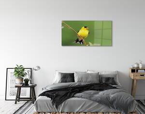 Obraz na szkle Żółta papuga