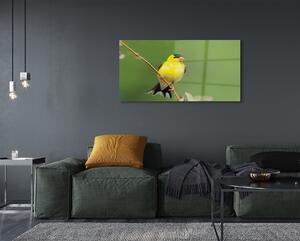 Obraz na szkle Żółta papuga