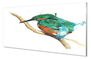 Obraz na szkle Kolorowa malowana papuga