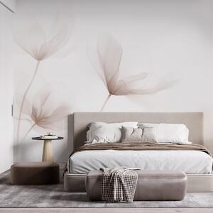 Fototapety Powietrzne beżowe kwiaty w minimalistycznym, jasnym stylu, Fototapety Kwiaty, w09734 : Uwalls.pl