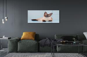 Obraz na szkle Leżący kot