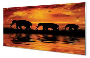 Obraz na szkle Zachód słonie jezioro