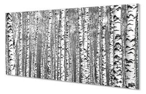 Obraz na szkle Czarno-białe drzewa