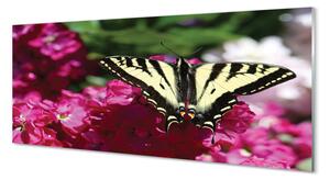Obraz na szkle Kwiaty motyl