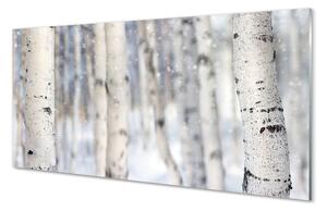 Obraz na szkle Drzewa zima śnieg