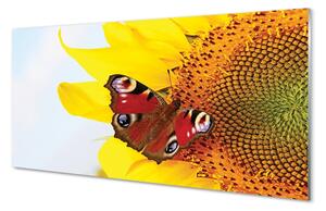 Obraz na szkle Słonecznik motyl