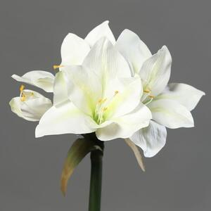 Kremowy Amarylis 3 Kwiaty 1 Gałązka 56 cm