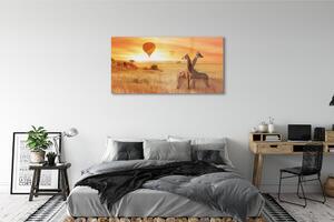 Obraz na szkle Balony niebo żyrafy